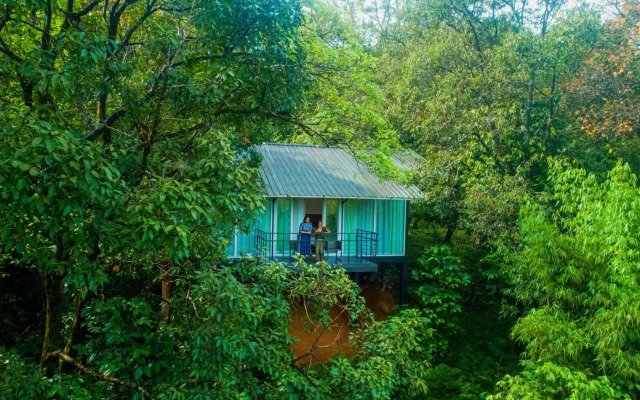 Wayanad Wild Rainforest lodge by CGH Earth