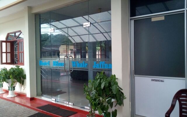 Hotel Blue Whale