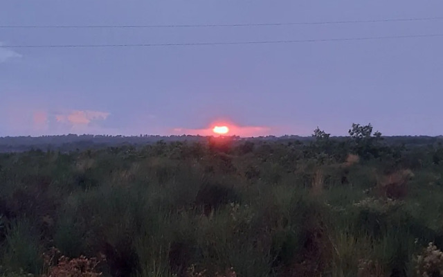 Apartment in Privlaka Near Sandy Beaches