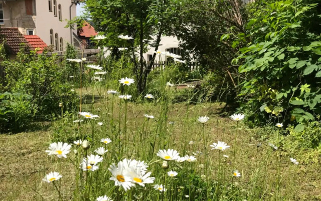 Villa Hanne mit Garten, Terrasse, Sky, Netflix