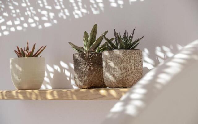 Aegean White Home