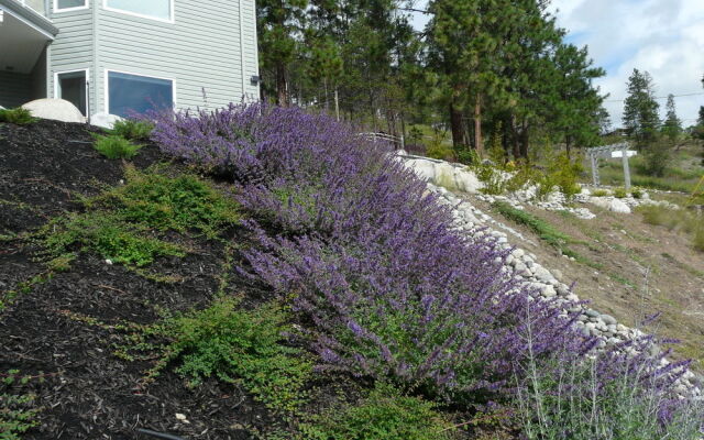 Heartstone B&B
