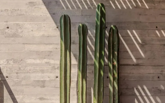 w Stylish 2BR Apartment With Ocean View in La Paz