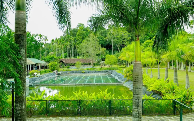 OYO Premium Hill Stays Kolagappara