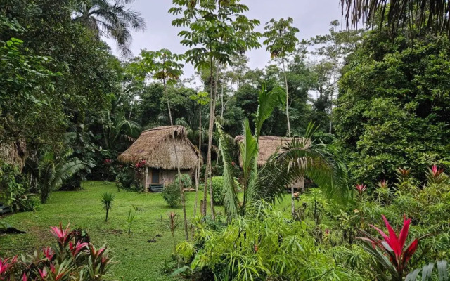 Tranquility Lodge
