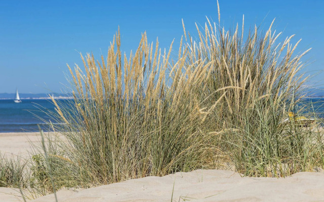 Hôtel & Spa - Thalazur Port Camargue