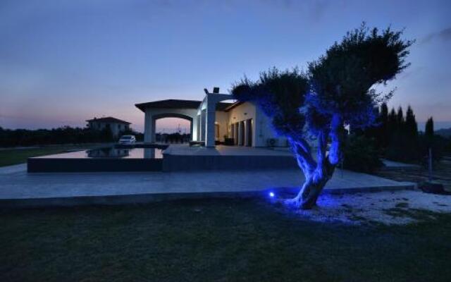 Villa Olivo Maroni