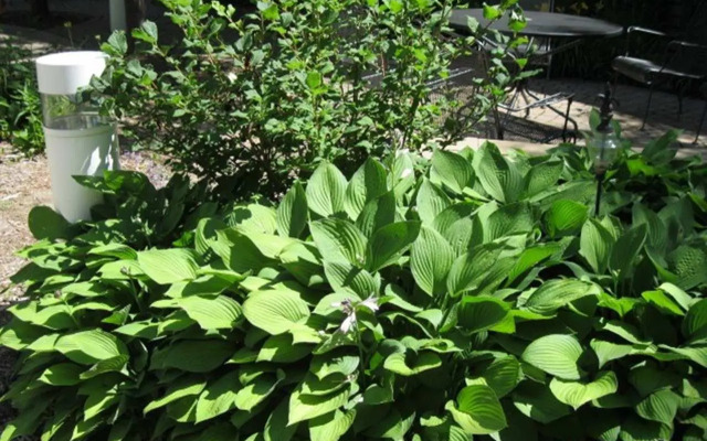 Homewood Suites by Hilton Sioux Falls