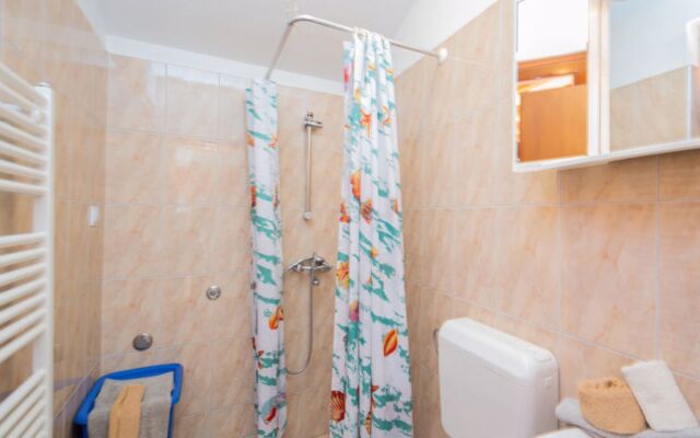 Vinka Laginji in Laginji