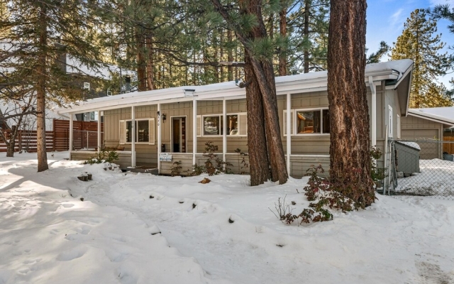 116 - Summit Bearadise