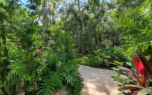 Secret Gardens Bacalar Suite 01 con alberca y bicicletas