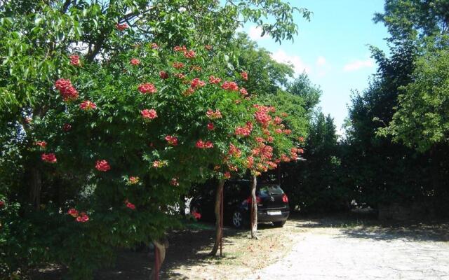 Apartments Grgorinić - Ground Floor