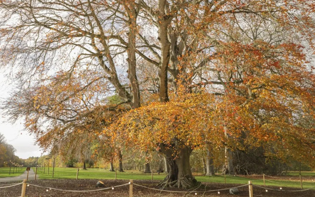The Laird's Wing - Brodie Castle