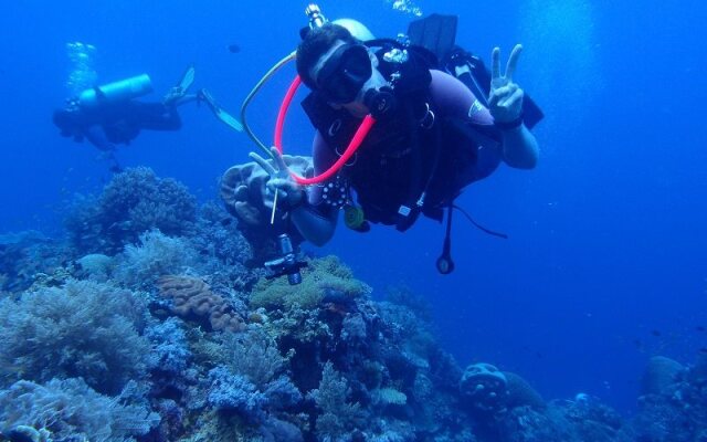Leyte Dive Resort