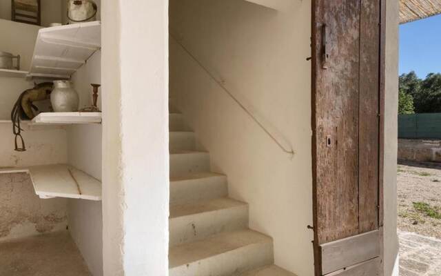 1143 Le Cicale - Violetta