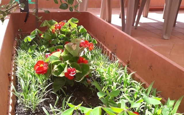 Il Cortiletto e la Casetta