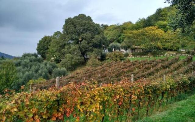Colle Del Barbarossa