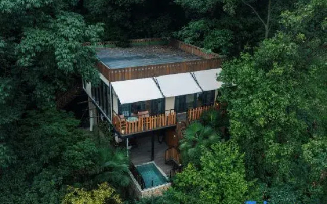 Misty Forest Retreat