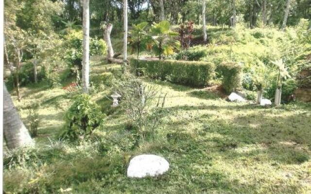 Cool Spring Rest Guesthouse