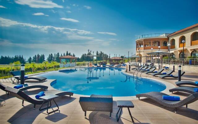 Akhasheni Wine Resort & Spa
