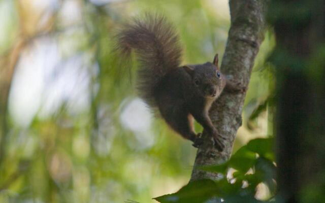 Chacra del Agua Reserva Privada