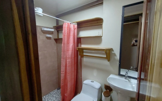 Cool Waters Jungle Camping