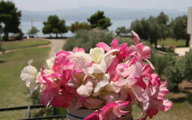 Villa Vlichos