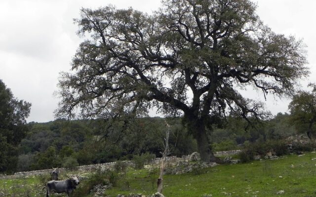 Agriturismo Beethoven