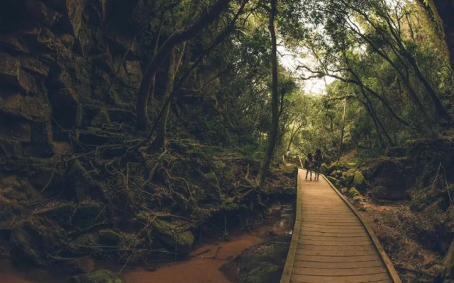 Planalto Select Hotel Ponta Grossa