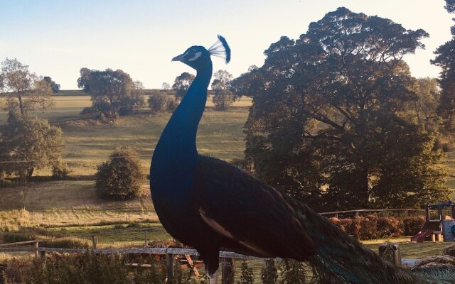 Gratton Grange Farm B&B