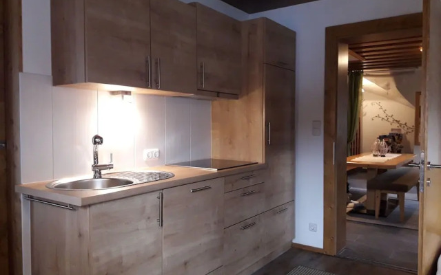 Cozy Apartment in Tobadill Austria With Beautiful Garden