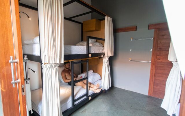 Tribe Theory - Startup House