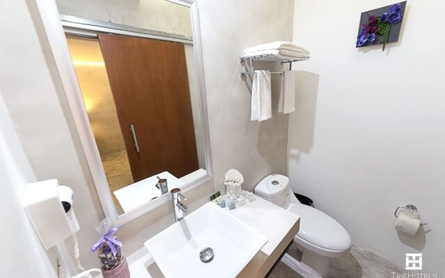 Hotel Urban 101