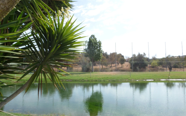 The Navigator - Palm Oasis Alvor