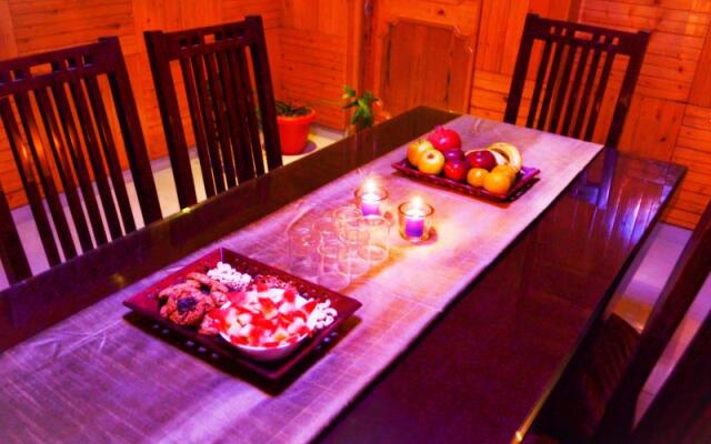 Pause At Manali