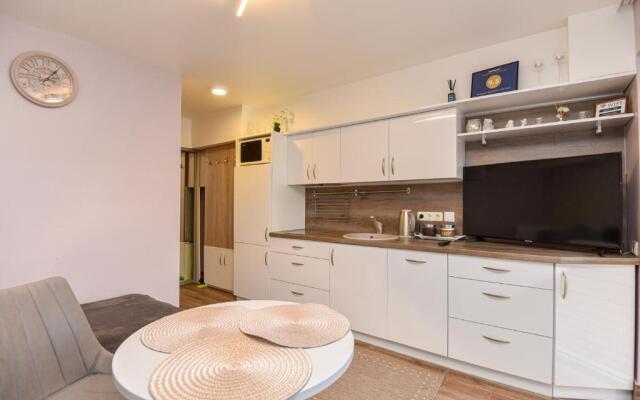 Medziotoju Apartment in Old City 2