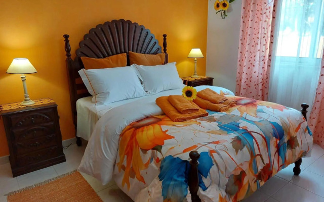 Ria Formosa Pineview