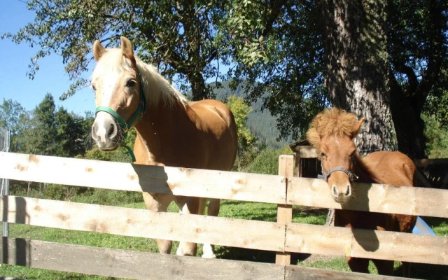 Saumerhof - Fam. Trinker Marion Und Wolfgang