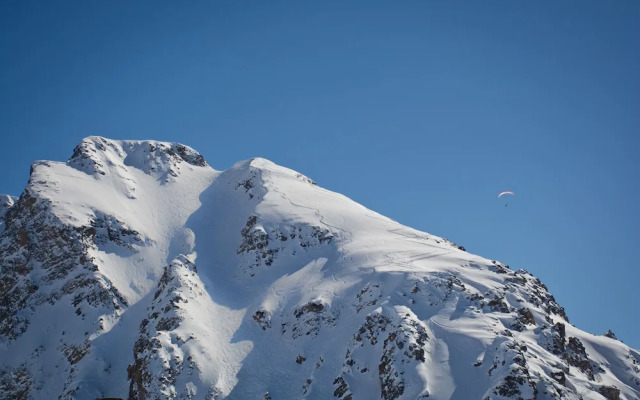 Chalet Le Grand Coeur