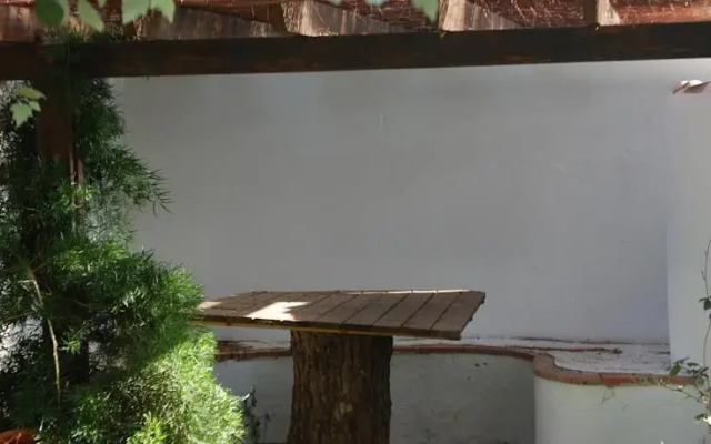 Oasis El Pinar