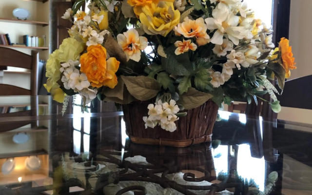 La casa de Tita Elvira 6