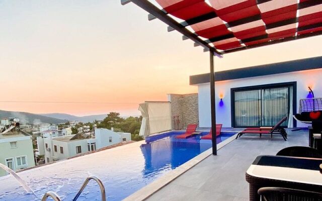 Villa Belinay