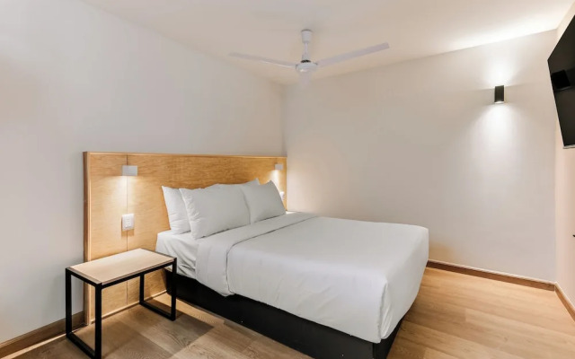 Pájaros by Homirent