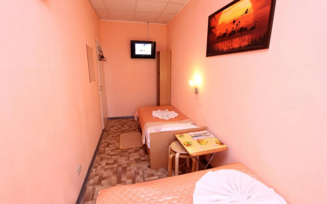 Geralda Ekonom otel' na Pushkinskoy 11