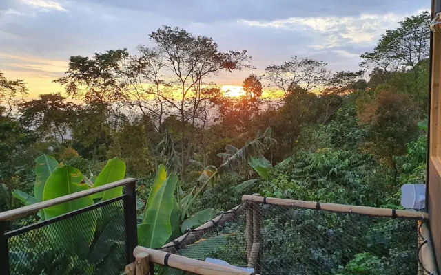 Hotel La Palma y El Tucan - Coffee & Nature
