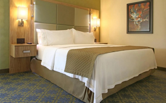 Holiday Inn Express Hotel & Suites Cuernavaca by IHG
