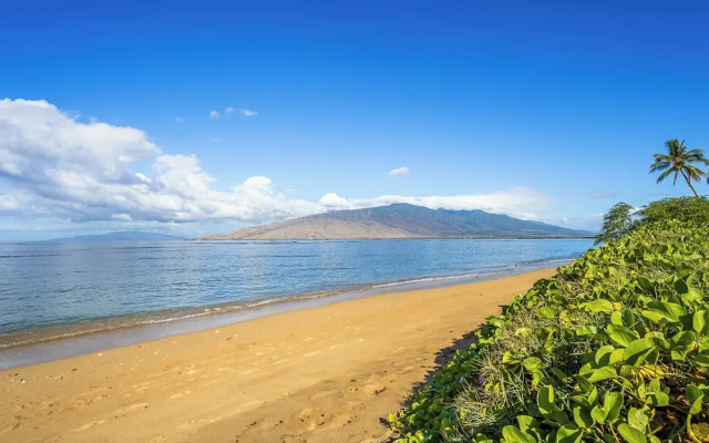 Waipuilani 102