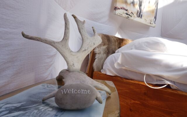 Wild Caribou Wilderness Cabin