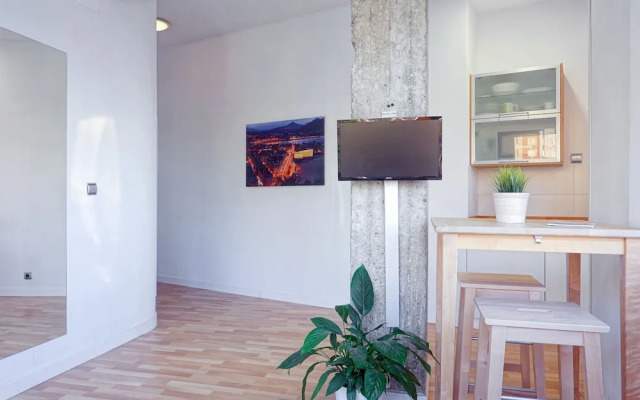 SanSebastianForYou  Zurriola Apartment