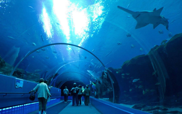 Clarion Pointe Morrow - Atlanta South